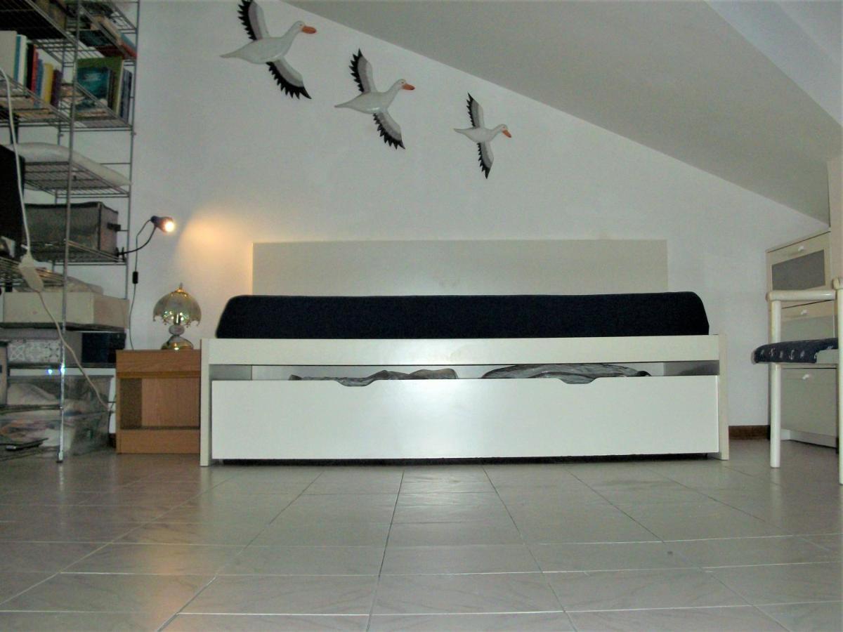 Appartamento - Terrazzo Vivibile Vista Mare, Wi-Fi Gratuito Vallecrosia Eksteriør billede